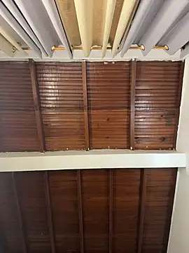 emiss  online show from March 2026 08:20:01 PM