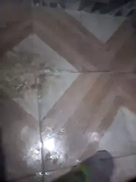 putosafado669 online show from December 2025 01:19:01 PM