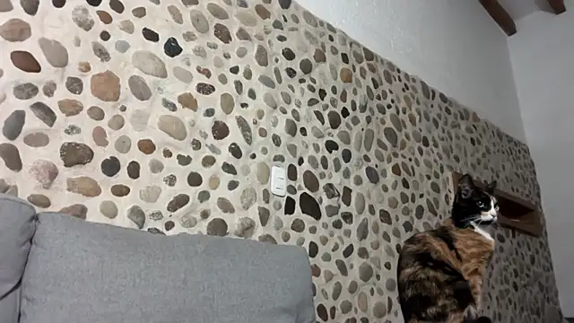 David Brown18 online show from October 2025 03:45:01 AM