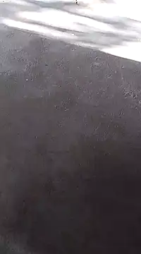 Snapshot of Sexygarl1024 chatting on January 2025 02:38:02 AM Sexygarl1024 online show from January 2025 02:38:02 AM