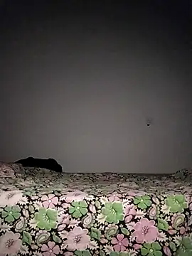 Snapshot of Sexygarl1024 chatting on October 2025 09:34:02 PM Sexygarl1024 online show from October 2025 09:34:02 PM