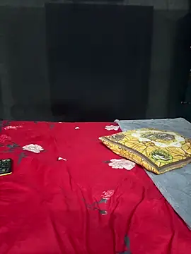 Magical-Couple-telugu online show from October 2025 02:02:02 PM