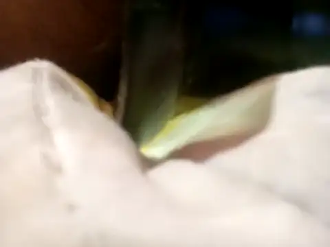 Pcsammy73 online show from November 2025 10:05:01 AM