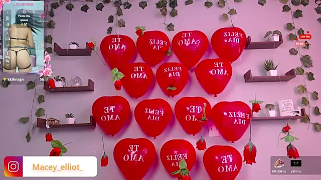 macey elliot  online show from February 2025 02:55:02 PM