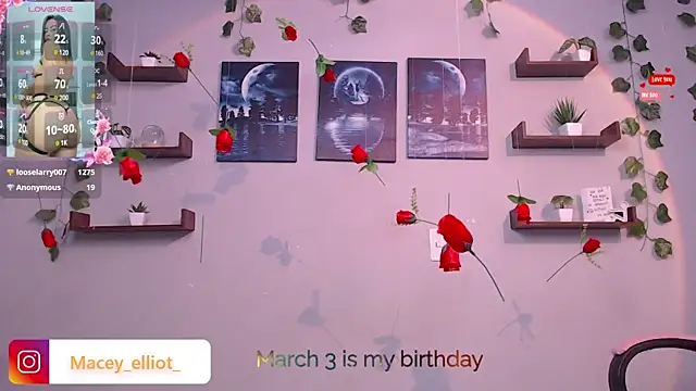 macey elliot  online show from February 2025 06:09:02 PM