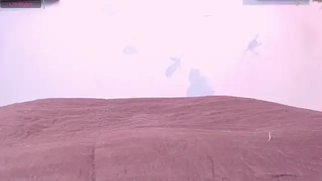 macey elliot  online show from February 2025 01:36:01 PM