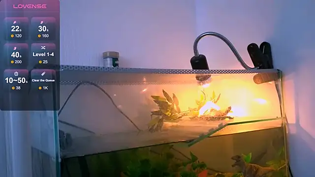 Britney Lynch online show from April 2026 02:51:02 AM