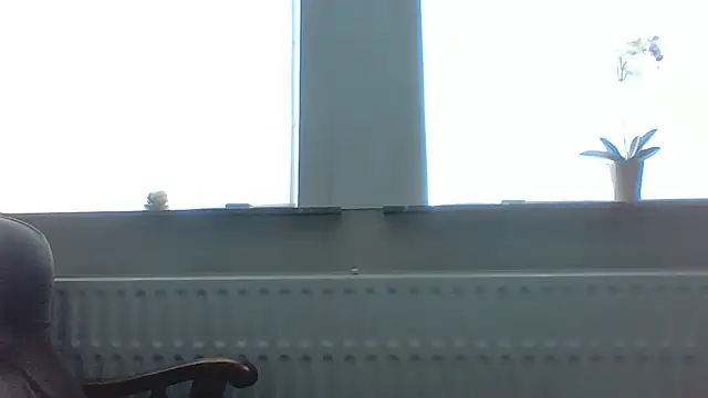 Snapshot of bertolini chatting on June 2026 01:01:01 PM bertolini online show from June 2026 01:01:01 PM