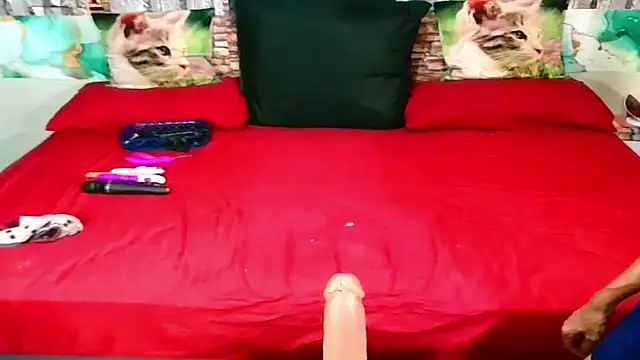 Indian Blaze00 online show from January 2026 07:11:01 PM