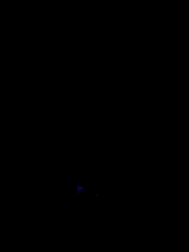 RIP Curl online show from October 2025 06:49:01 AM