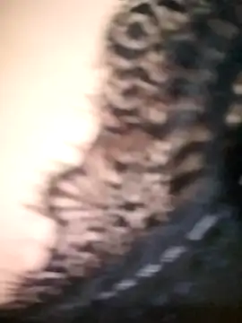 tahra-19 online show from December 2024 04:21:02 PM