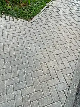 Snapshot of Syka0001 chatting on September 2025 01:48:02 PM Syka0001 online show from September 2025 01:48:02 PM