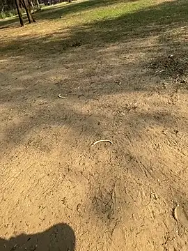 Cum on your tityyy online show from January 2026 09:03:01 AM