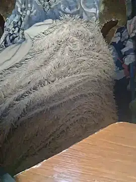 Snapshot of _Kitti_ chatting on January 2025 04:16:02 AM Kitti online show from January 2025 04:16:02 AM