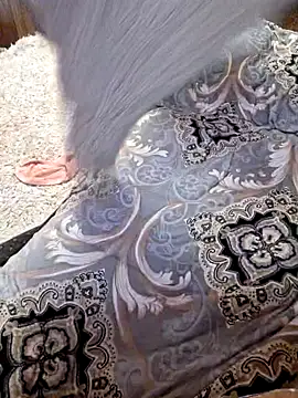 Snapshot of _Kitti_ chatting on January 2025 08:49:01 PM Kitti online show from January 2025 08:49:01 PM