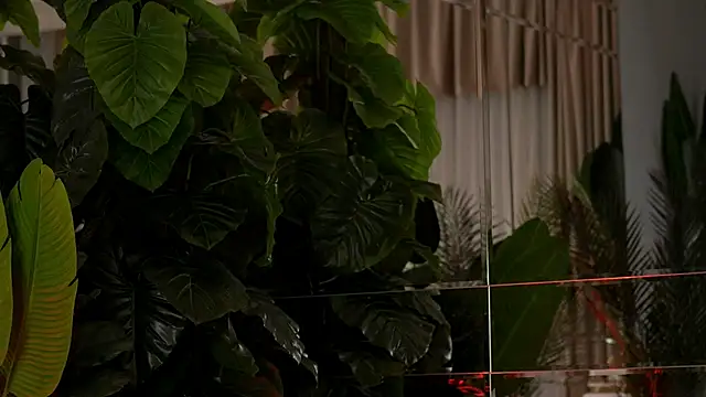 KellyMathews online show from March 2026 02:22:01 AM