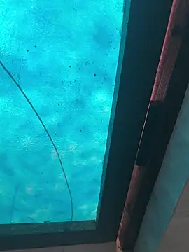 kalakim online show from October 2025 10:15:02 AM