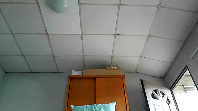 nicedick bro online show from July 2026 06:26:02 PM