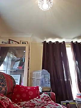 meateater1 online show from November 2025 10:48:02 AM