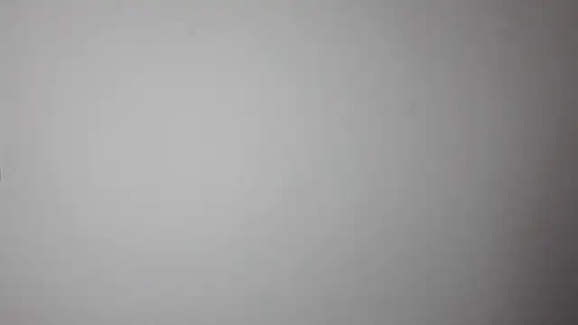 Kenner fox77 online show from March 2025 04:41:02 AM