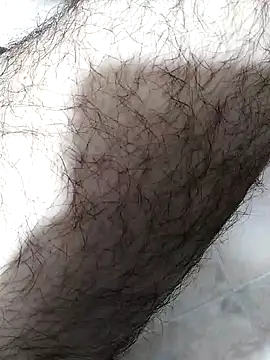 andrew co online show from November 2025 11:48:01 PM