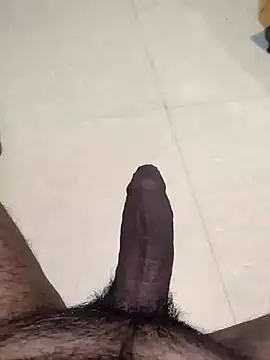 saiTeluguhyd online show from January 2025 07:49:02 PM