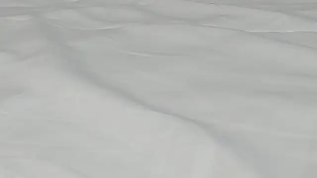 Snapshot of kamila_twink_sexy chatting on March 2026 02:50:01 PM kamila twink sexy online show from March 2026 02:50:01 PM