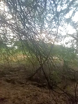 lovesuna online show from September 2025 01:32:02 AM