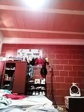 Snapshot of Elvergon3456 chatting on December 2024 06:12:01 PM Elvergon3456 online show from December 2024 06:12:01 PM