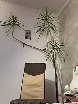 Snapshot of derek1494 chatting on January 2026 09:27:01 PM derek1494 online show from January 2026 09:27:01 PM