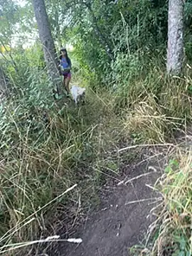 Reinacatchile online show from January 2025 11:24:01 PM