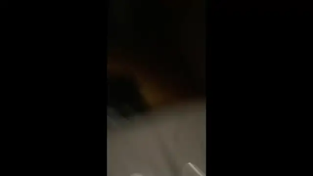 TweakyDude online show from June 2026 01:09:02 PM