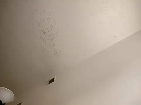 Snapshot of Barrentine88 chatting on March 2025 10:37:01 PM Barrentine88 online show from March 2025 10:37:01 PM