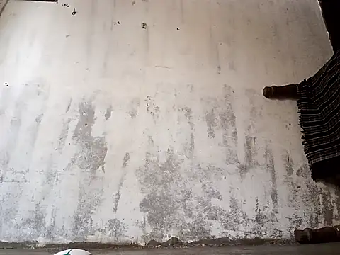 Yasha 14C Creator online show from January 2026 05:01:01 AM