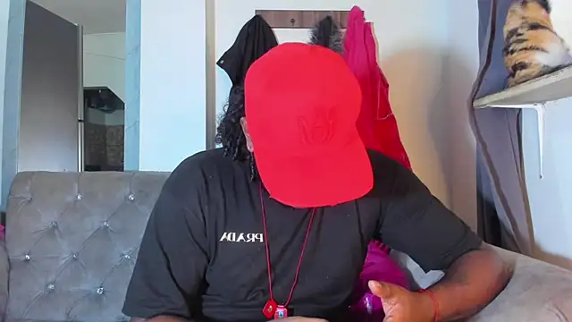 gavi 19cm online show from March 2025 05:40:01 AM