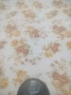 Snapshot of Working- chatting on January 2026 12:09:02 PM Working- online show from January 2026 12:09:02 PM