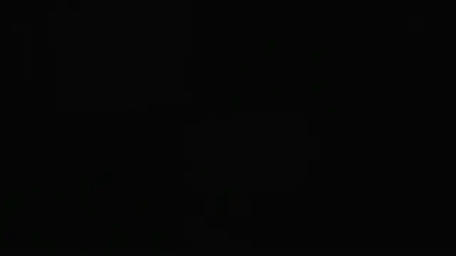 guy master online show from December 2024 02:09:02 AM