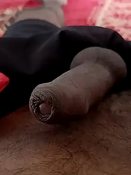 Snapshot of sat_1234 chatting on January 2025 04:04:02 AM sat 1234 online show from January 2025 04:04:02 AM