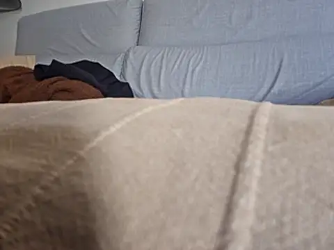 PeDrO2024 25 online show from February 2026 11:53:02 AM