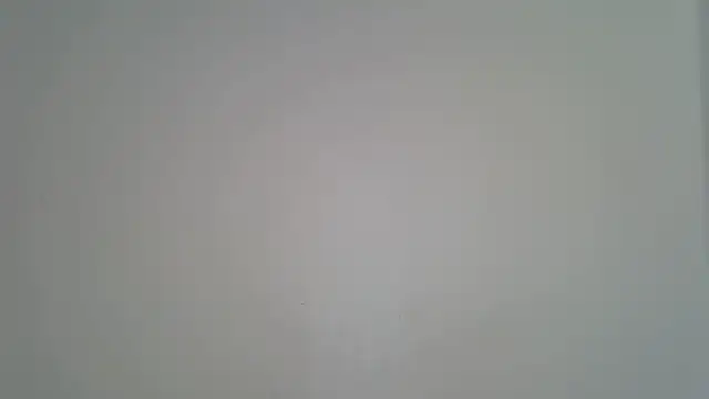 laetitia  online show from April 2026 12:52:02 PM