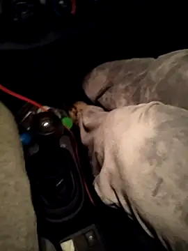 Snapshot of A_man_in_public chatting on April 2026 10:47:01 PM A man in public online show from April 2026 10:47:01 PM