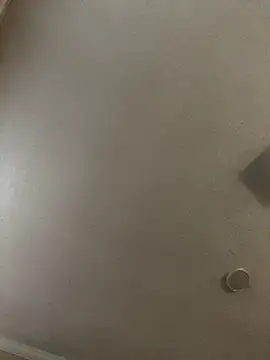 velvetta  online show from December 2025 01:06:01 PM