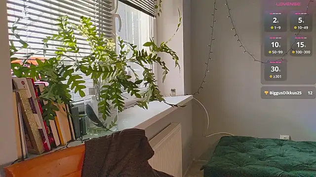 Snapshot of monlight__dana chatting on January 2025 01:17:01 PM monlight  dana online show from January 2025 01:17:01 PM