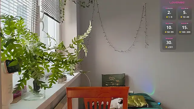 Snapshot of monlight__dana chatting on January 2025 11:54:02 AM monlight  dana online show from January 2025 11:54:02 AM