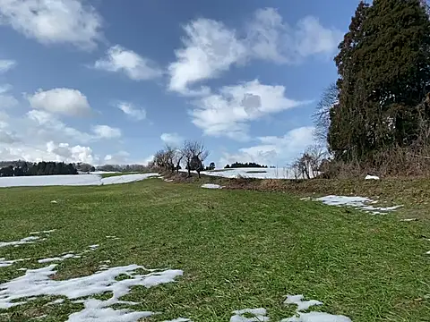 ge3noxxx online show from March 2025 12:43:01 AM