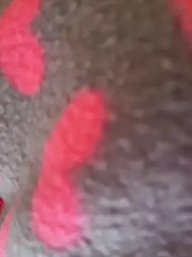 Noviostoxico online show from January 2026 02:10:01 PM