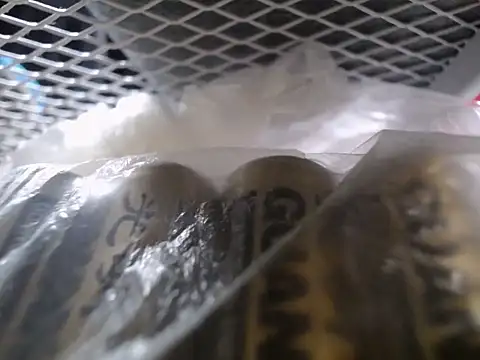 Snapshot of Lovensetest chatting on September 2025 07:35:02 AM Lovensetest online show from September 2025 07:35:02 AM