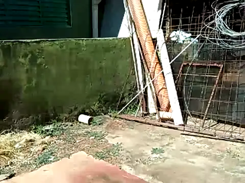 wel9238 online show from April 2026 02:26:01 PM