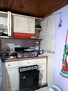 Snapshot of Camille_rose_ chatting on March 2025 06:43:02 PM Camille rose online show from March 2025 06:43:02 PM