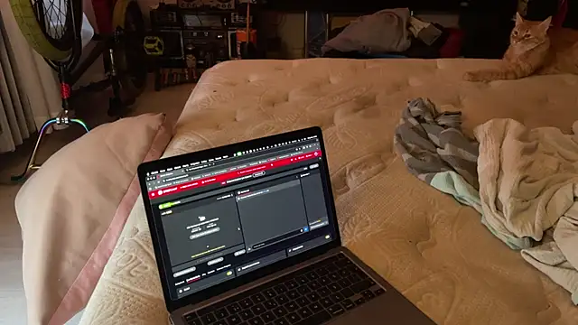 Snapshot of kameray12 chatting on November 2025 04:56:01 AM kameray12 online show from November 2025 04:56:01 AM